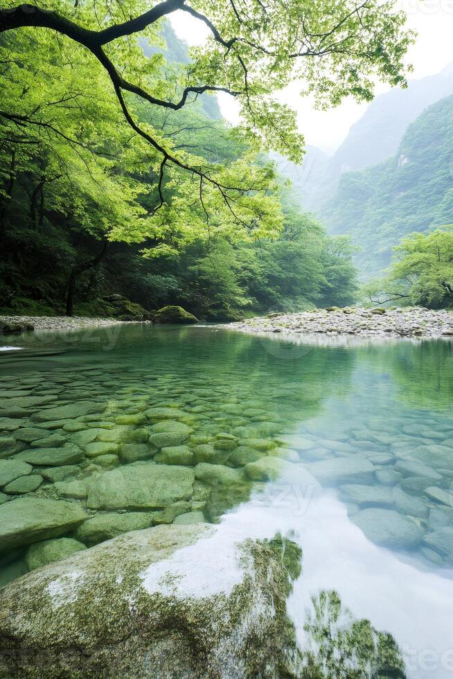 Crystal clear water flowing in a mountain creek surrounded by lush vegetation. photo
