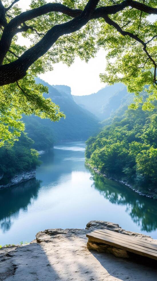 Wooden bench overlooking beautiful lake surrounded by green forest under tree branches photo