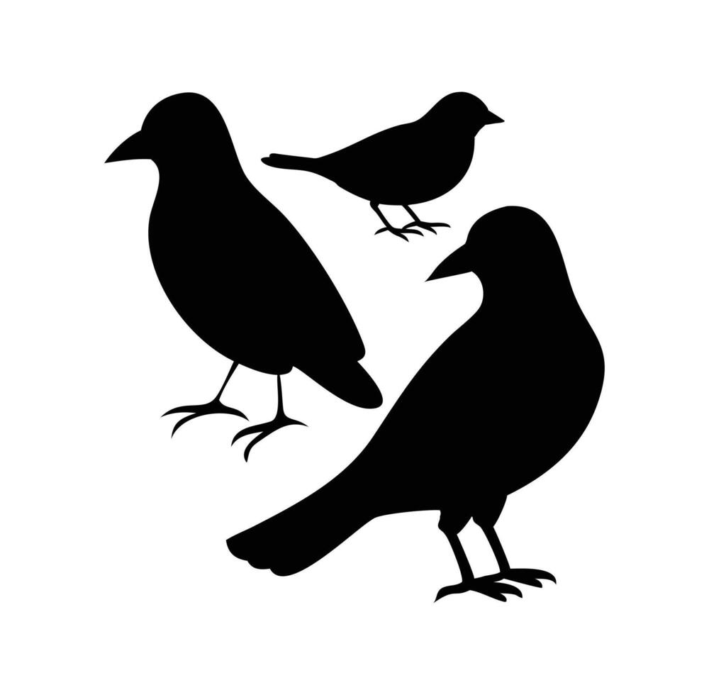Silhouette of Three Birds Black Bird Silhouettes on White Background vector
