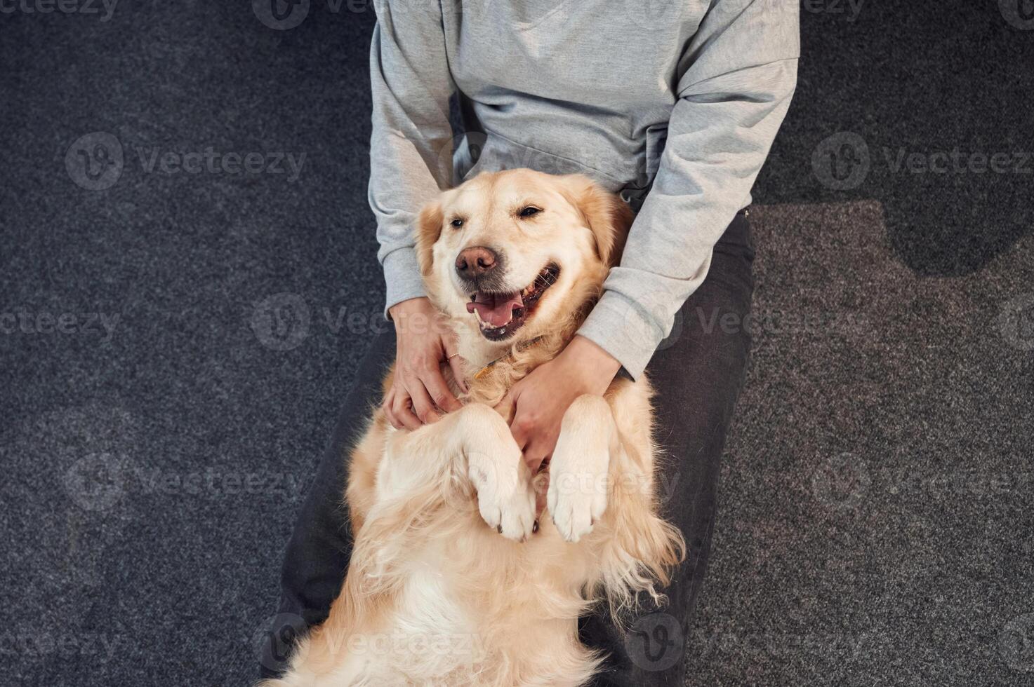Top view. Animal is lying down, happy. .Woman is with golden retriever dog at home photo