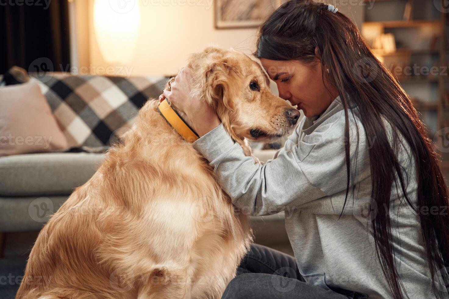 Side view.. Having fun, embracing.. Woman is with golden retriever dog at home photo