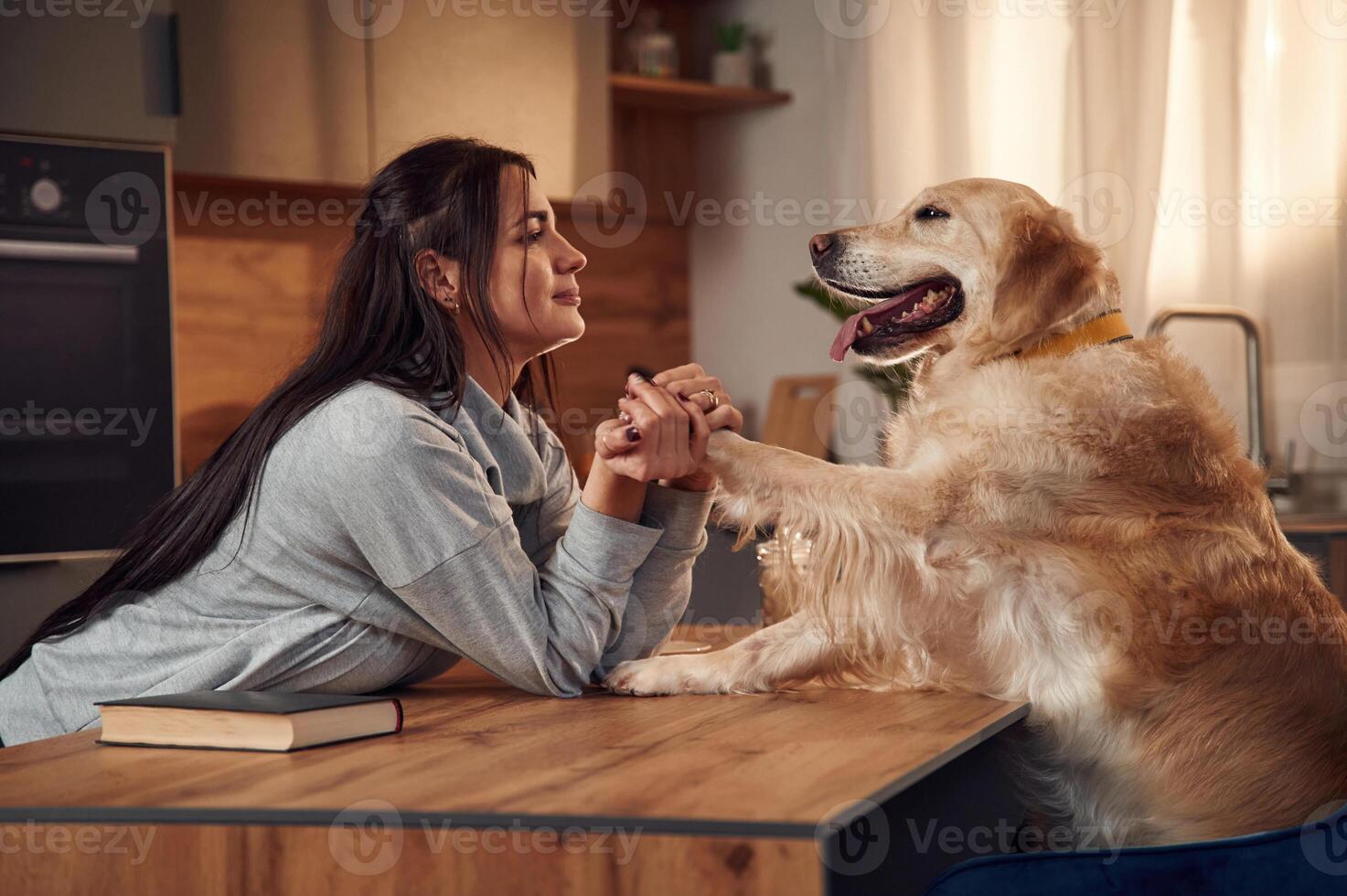 Side view. Sitting by the table together. Woman is, with golden retriever dog at home photo