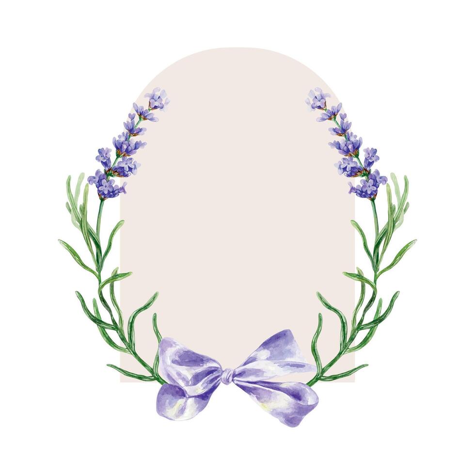 Lavender sprig, purple bow, watercolor. Template for text. Hand drawn illustration. For design of labels, postcards, invitations, SPA salon banners, posters. vector
