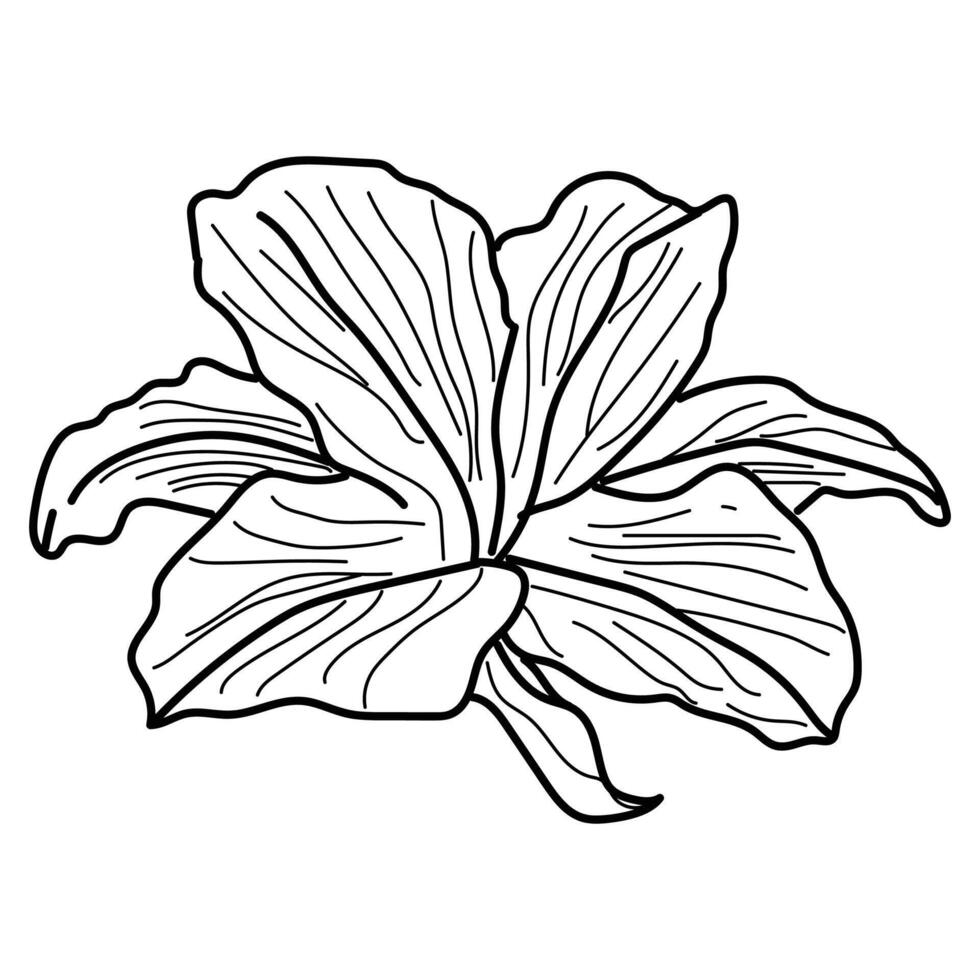 Flower line one art illustration. vector