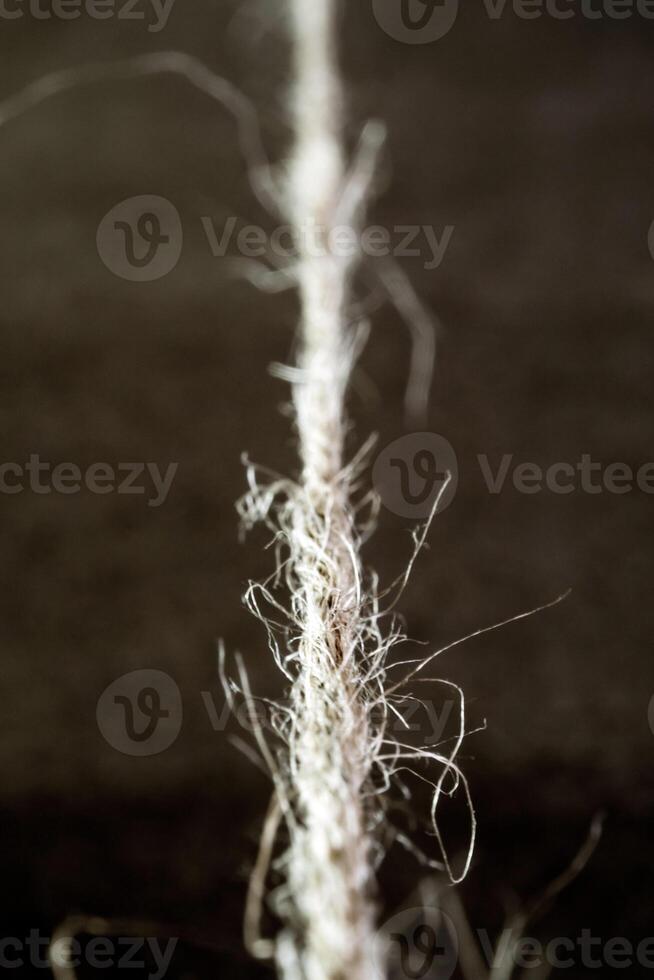 The Natural rustic hemp cord was pulled straight line photo