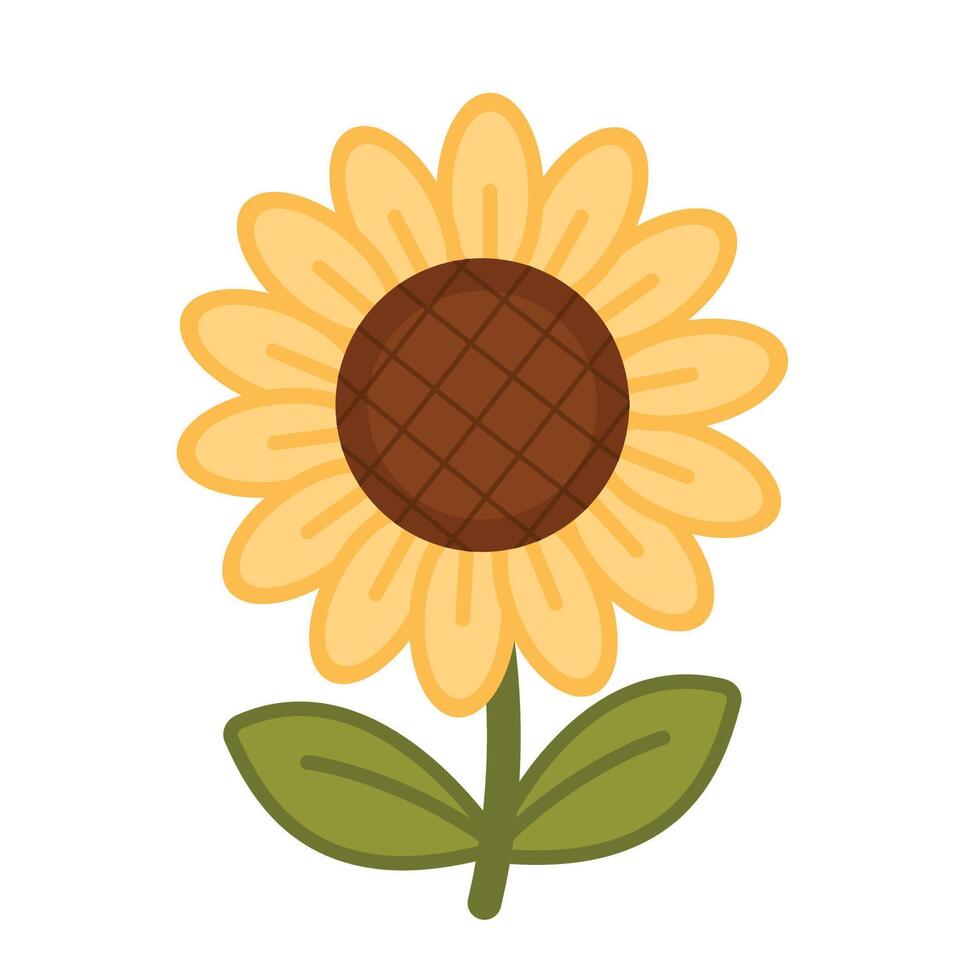 Sunflower isolated on white background. Hand drawn. Illustration. vector