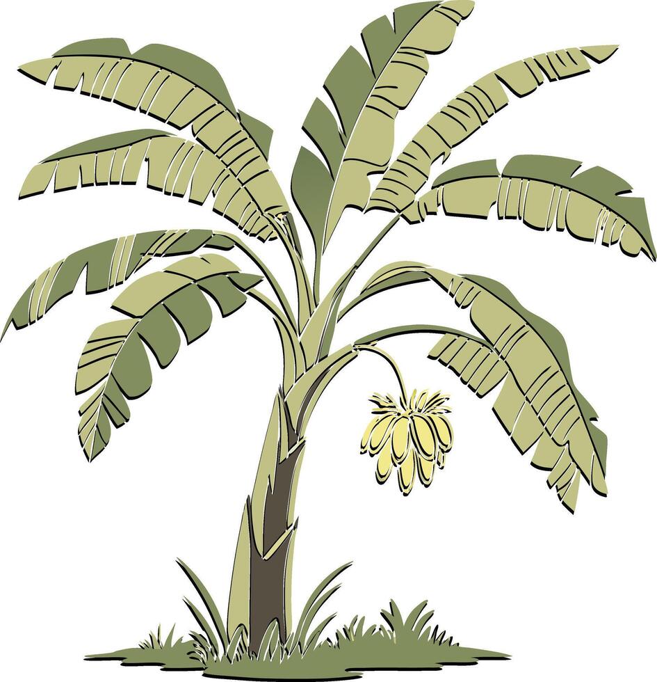 Banana tree, line art illustration vector