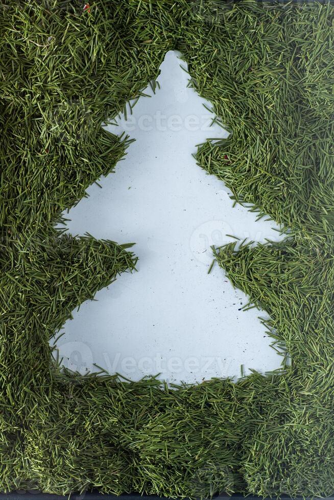 Christmas tree green needles in the background photo