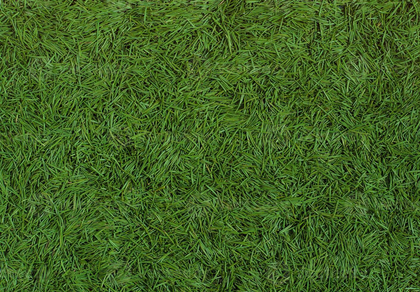 Green background. Tree needles. The concept of fallen needles from the Christmas tree photo