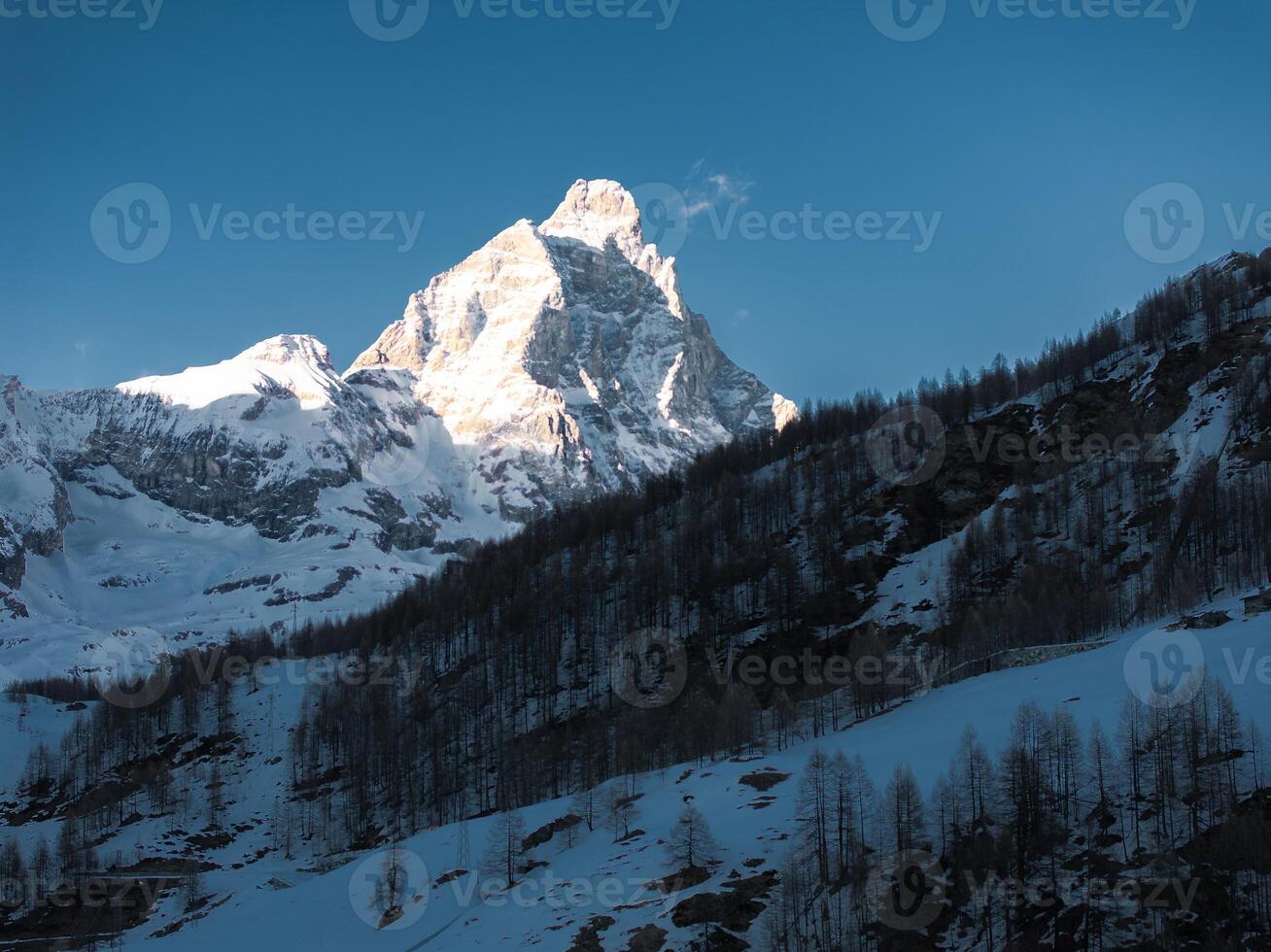 The Matterhorn mountain stands illuminated under a clear blue sky, surrounded by snow covered slopes and sparse leafless trees in Cervino Ski Paradise. photo