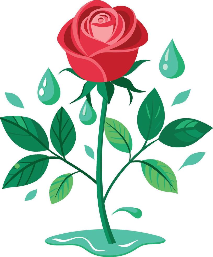 Red rose bloom, stylized illustration, vibrant colors, green leaves, water droplets, minimalist design, art, graphic design vector