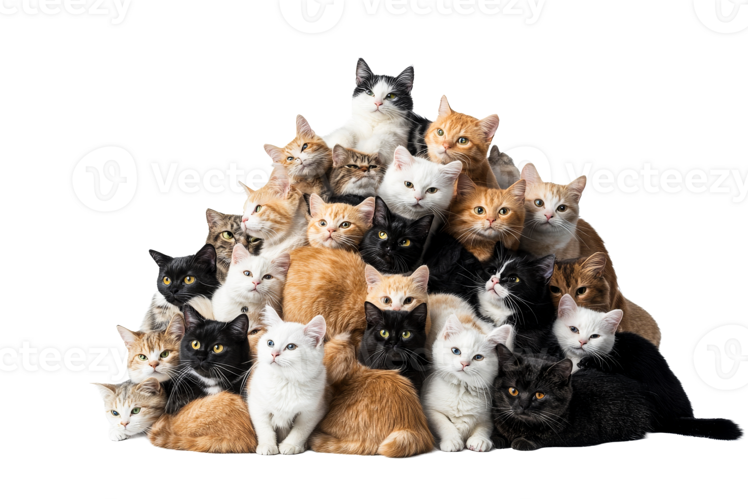 Group of playful cats stacked together on a transparent background png