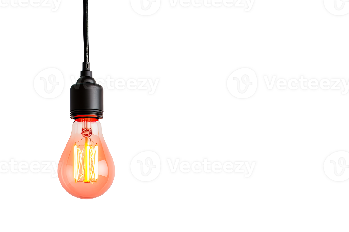 Vintage style orange light bulb with a black socket hanging png