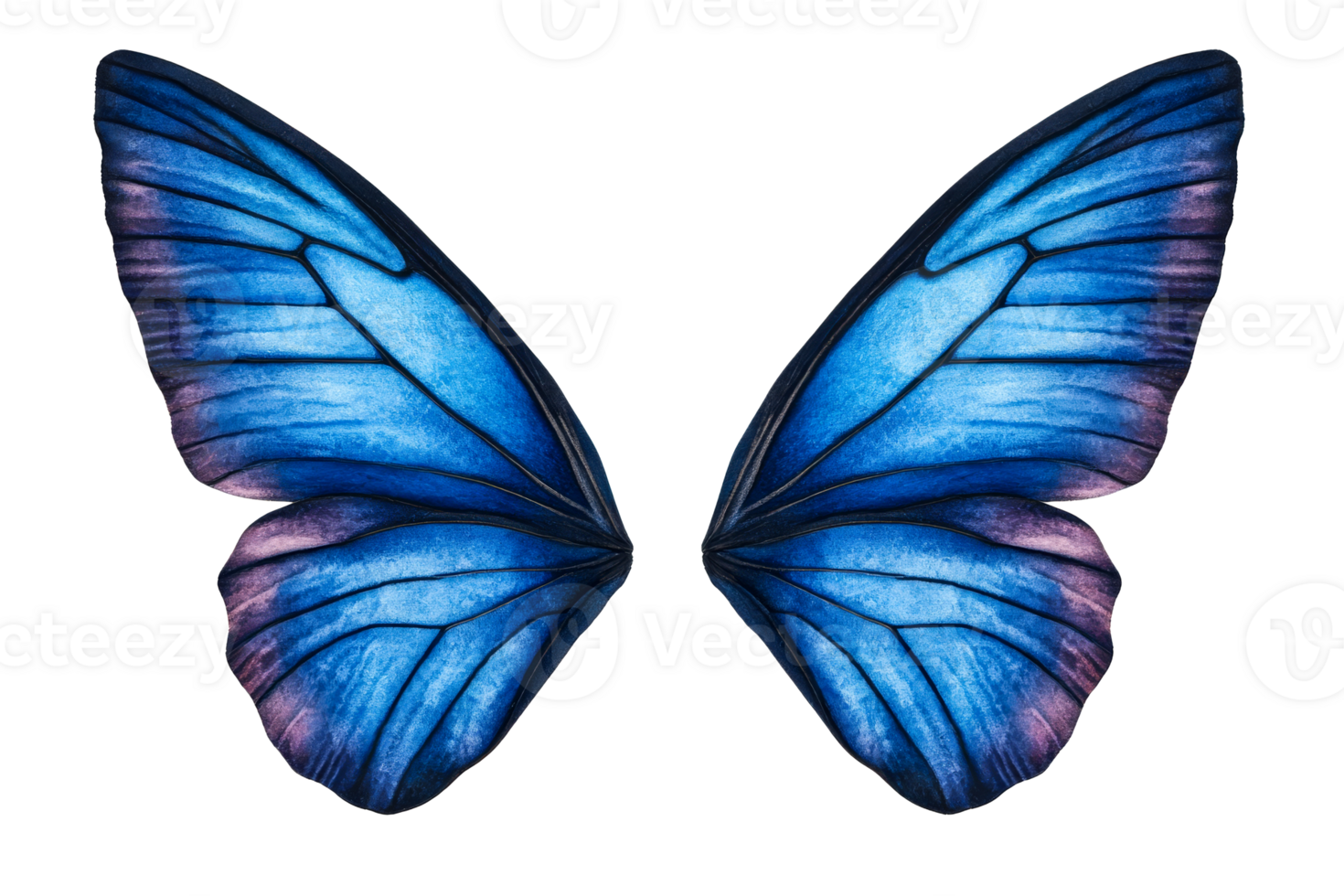 Blue butterfly wings with detailed patterns on transparent background png