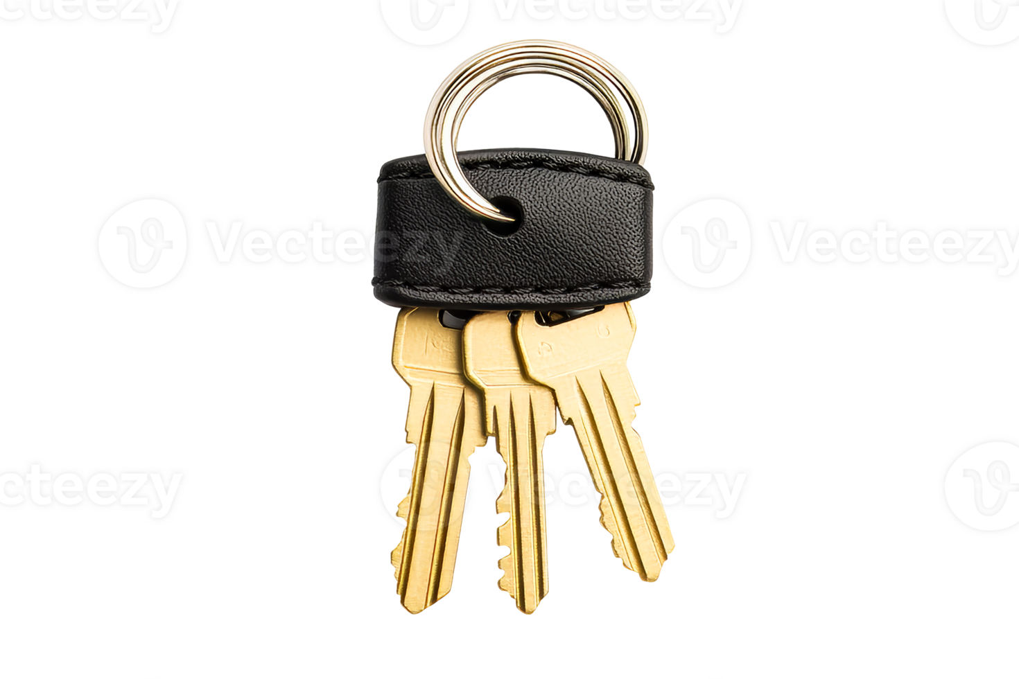 Keys on a black keychain with a transparent background png