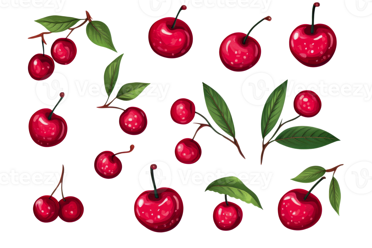 Red cherries on a transparent background for design projects png