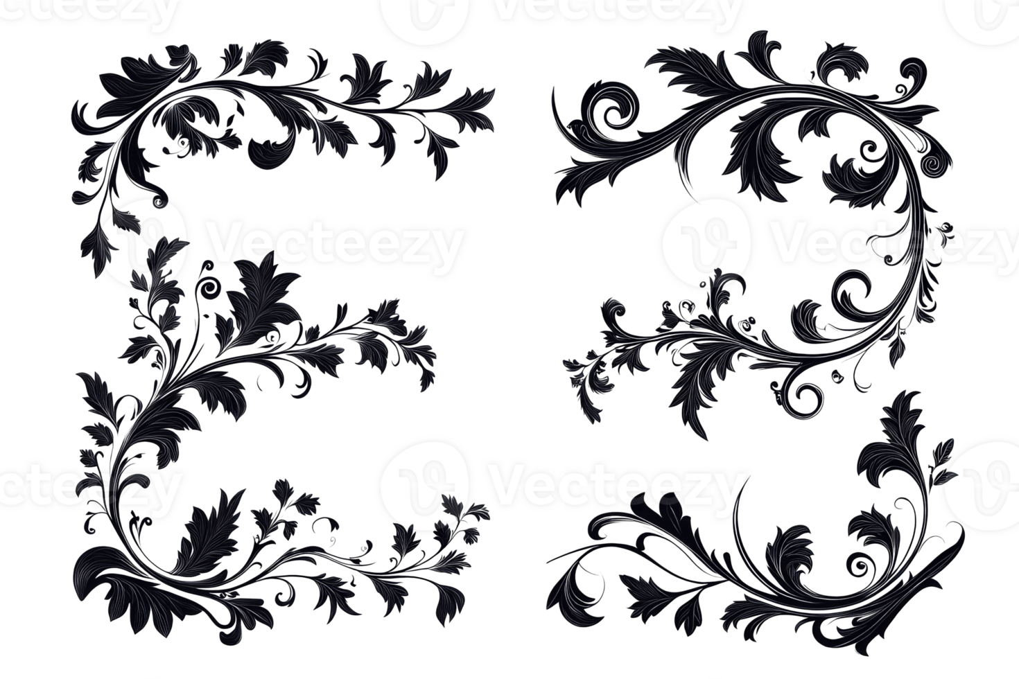 Elegant black floral designs with intricate details and curls png
