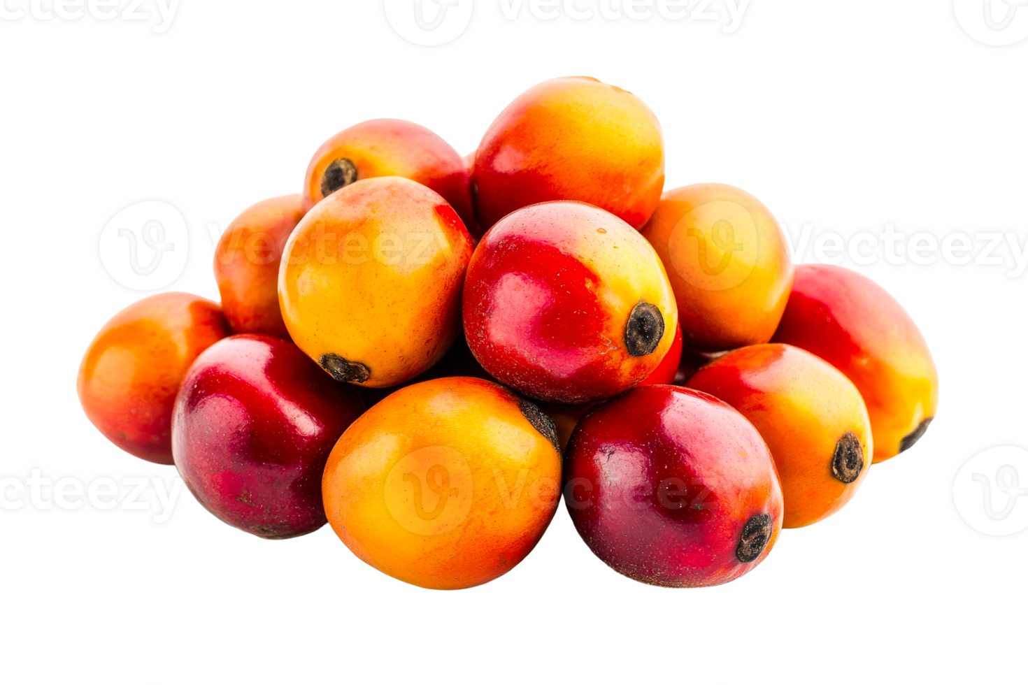 Fresh ripe tropical fruits stacked on a transparent background png