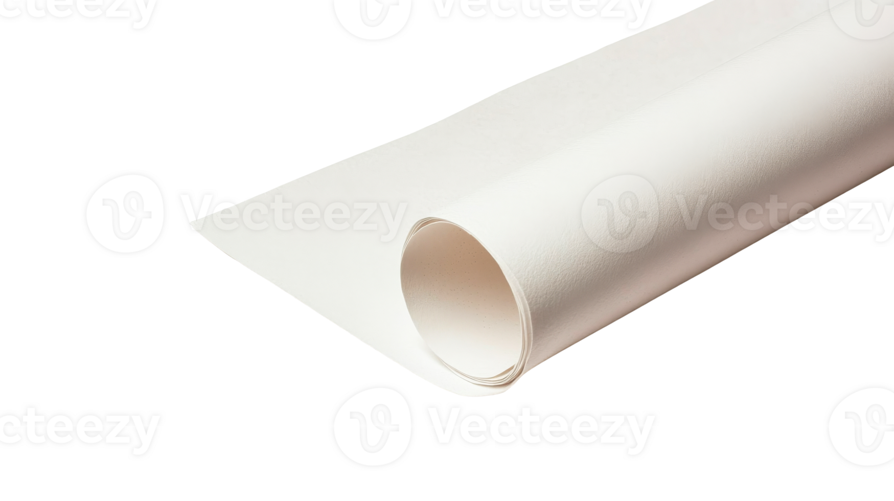 Creating with rolled white paper on clear background png