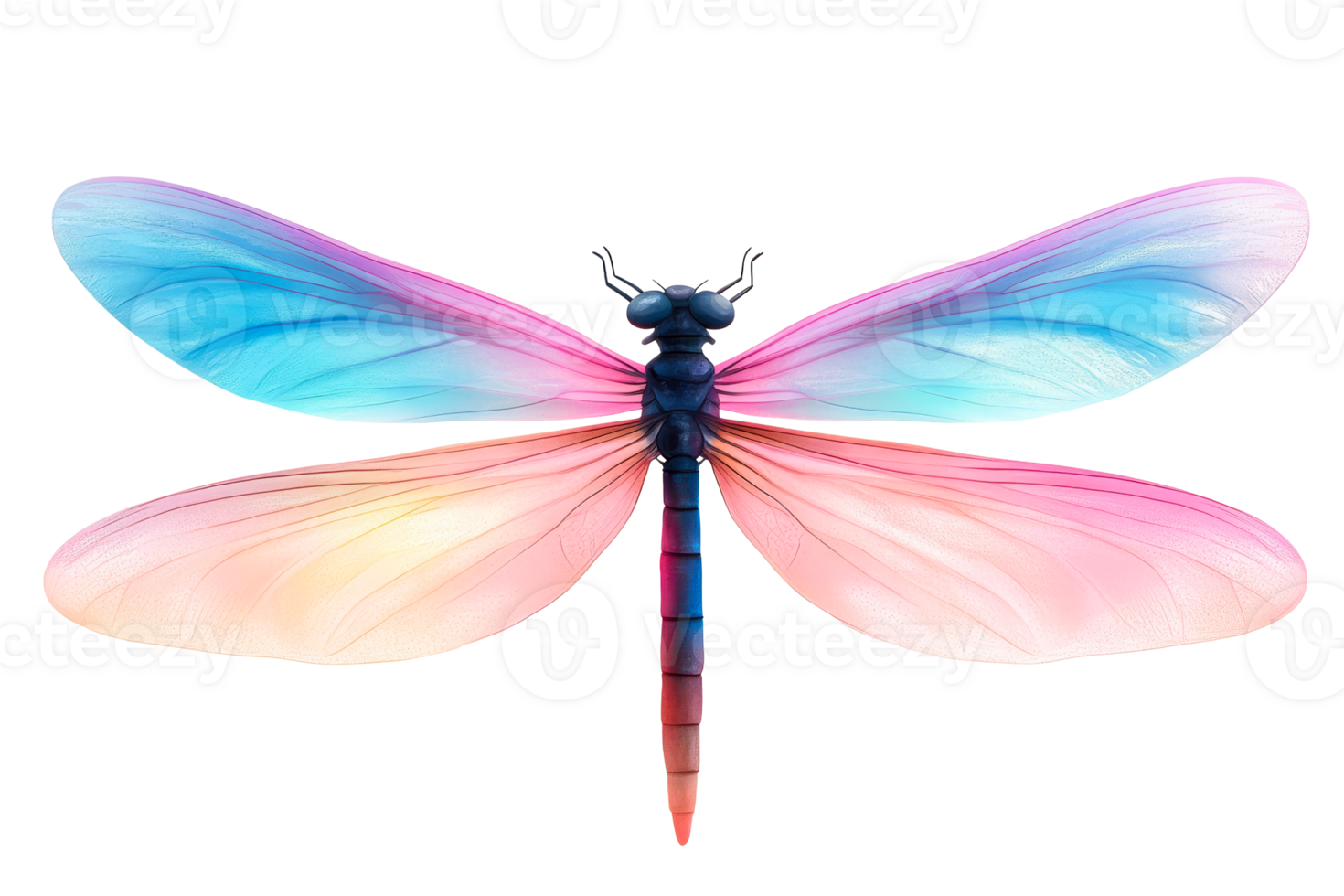 Colorful dragonfly with transparent wings and vibrant details png