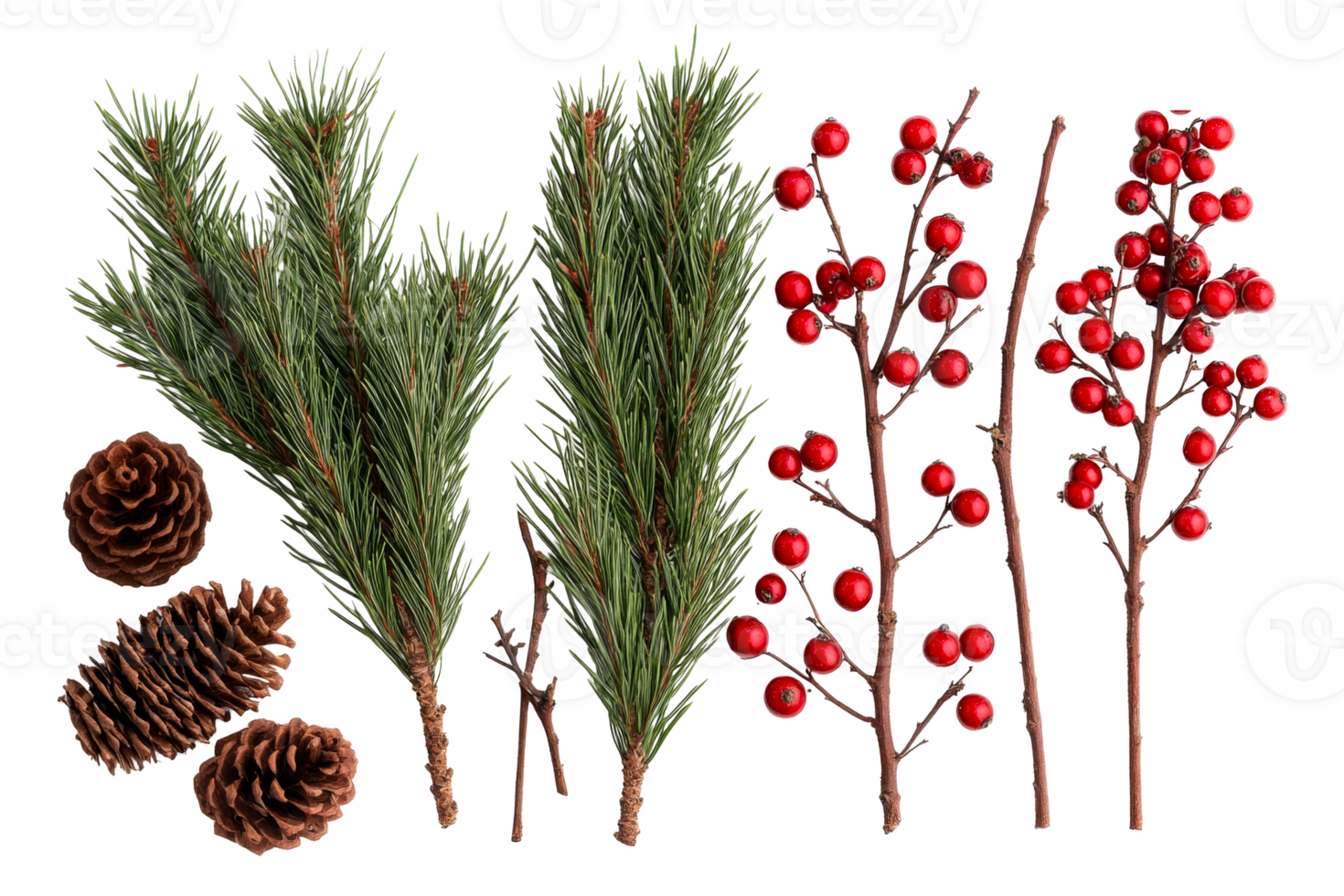 Holiday greenery with pine cones and red berries for decoration png