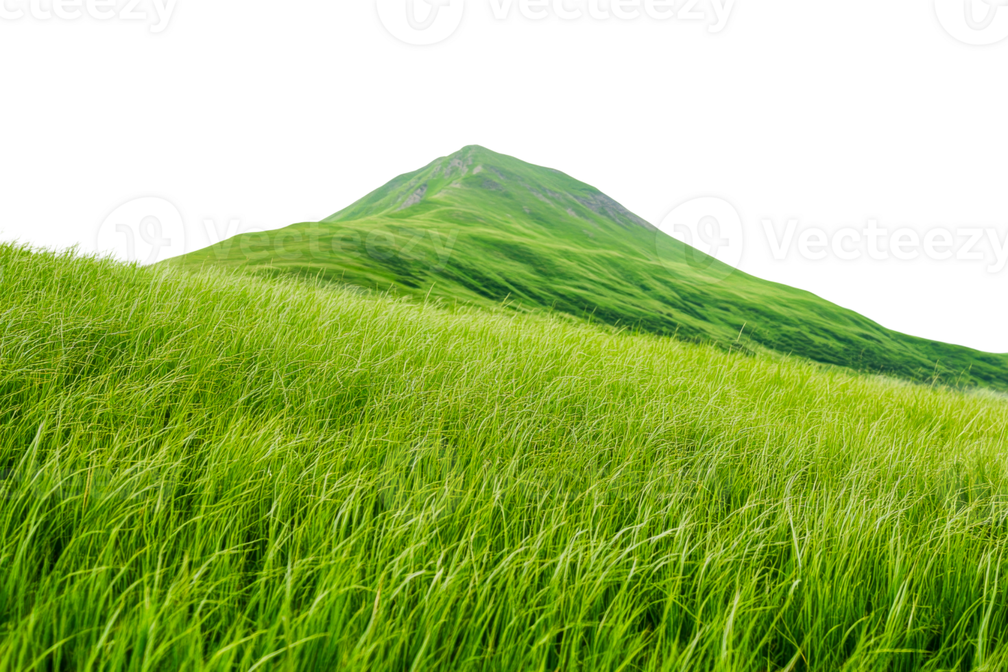 Lush green grass fields with a mountain backdrop in sunny weather png
