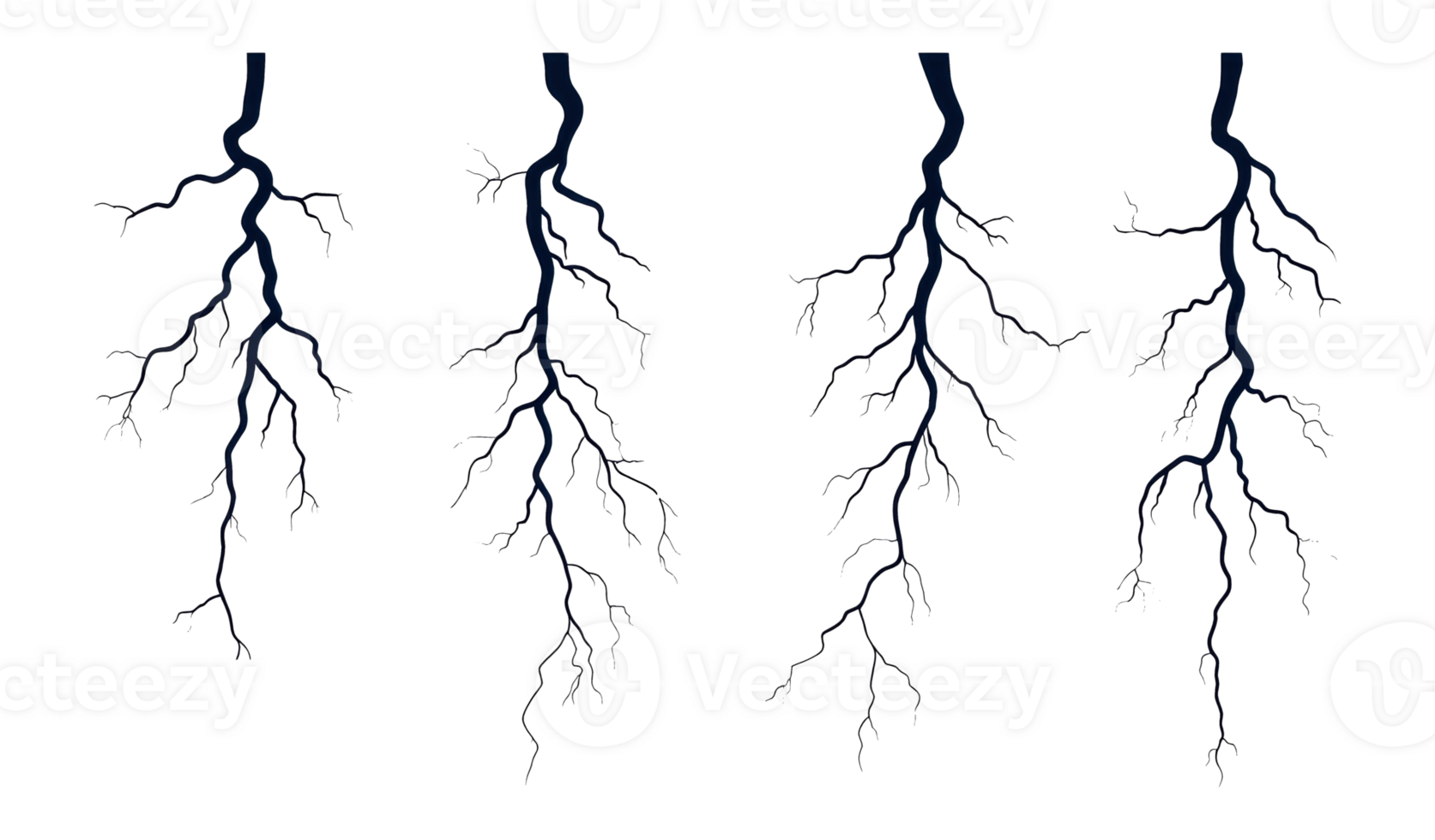 Dark tree branches with a transparent background for design use png