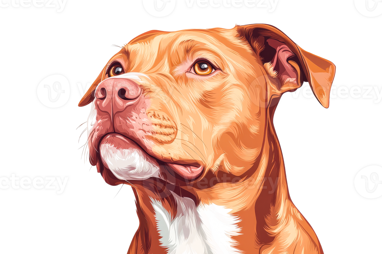 Portrait of a dog with a realistic expression and detail png