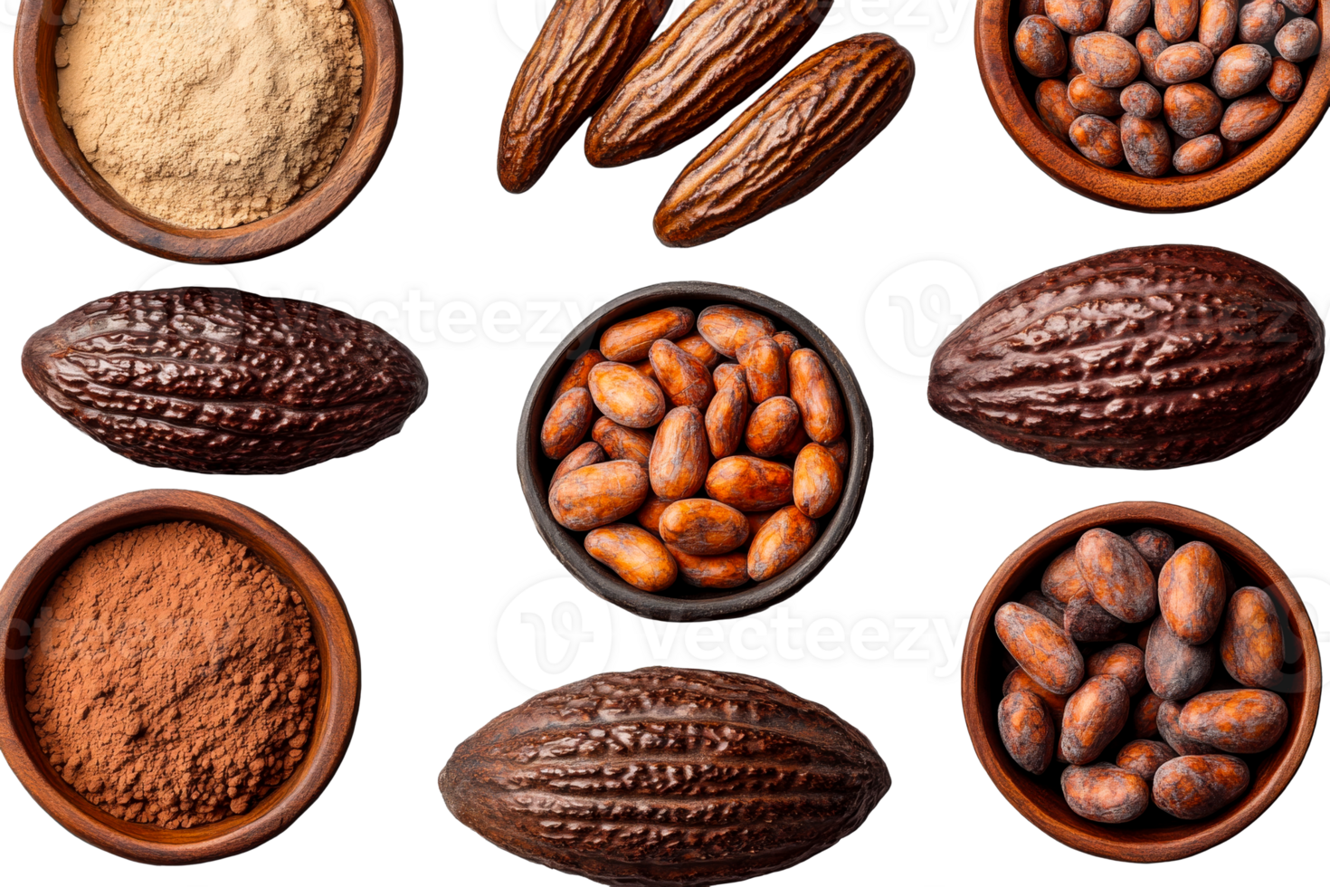 Cocoa beans and powder arranged in bowls on a transparent background png