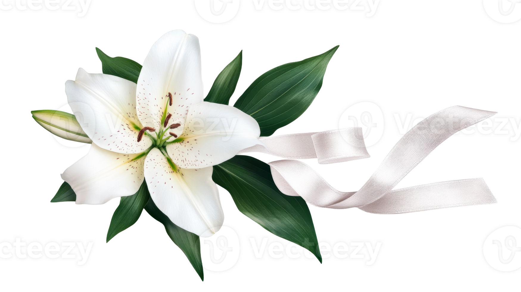 White lily with ribbon, mourning concept, graceful flower arrangement, cut out transparent png
