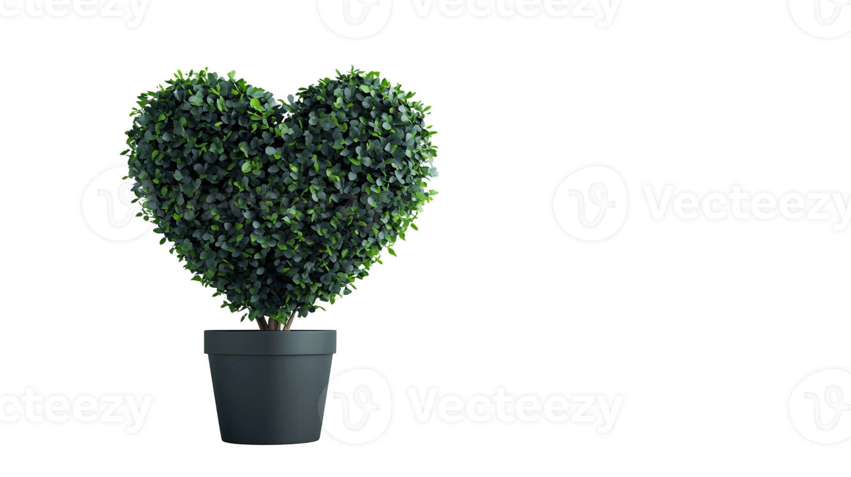 Plant heart-shaped greenery in pot on black, cut out transparent png