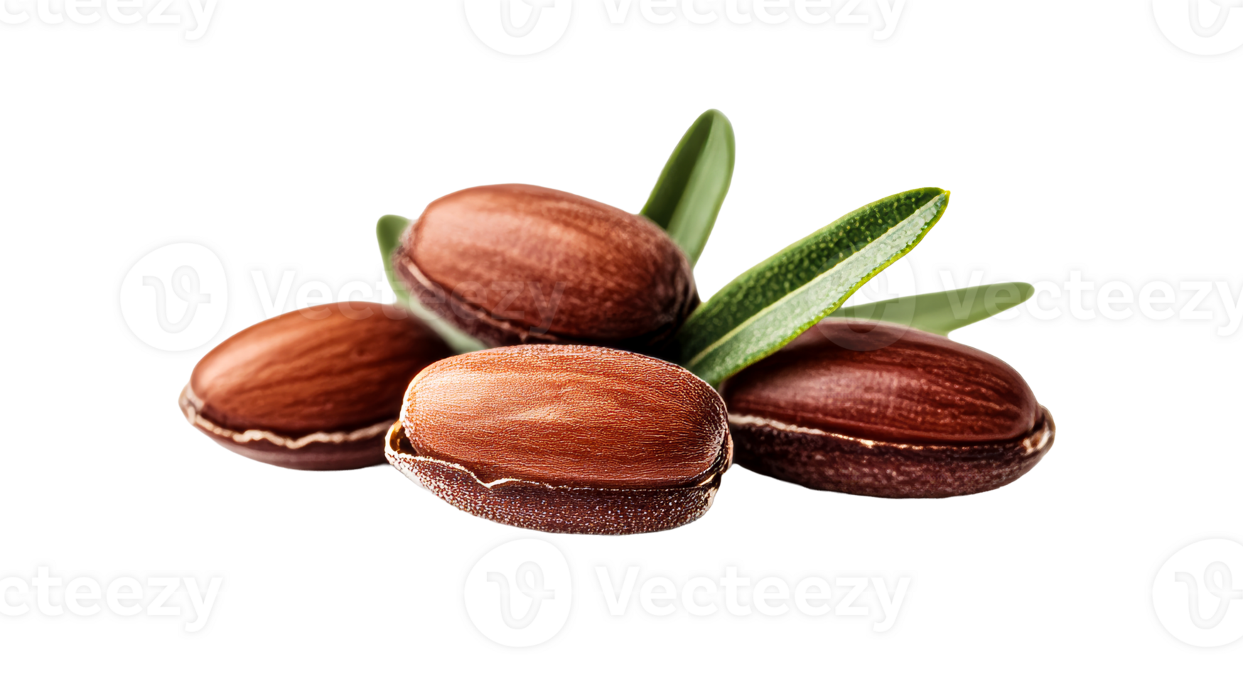 Argan fruits with green leaves, isolated, cut out transparent png