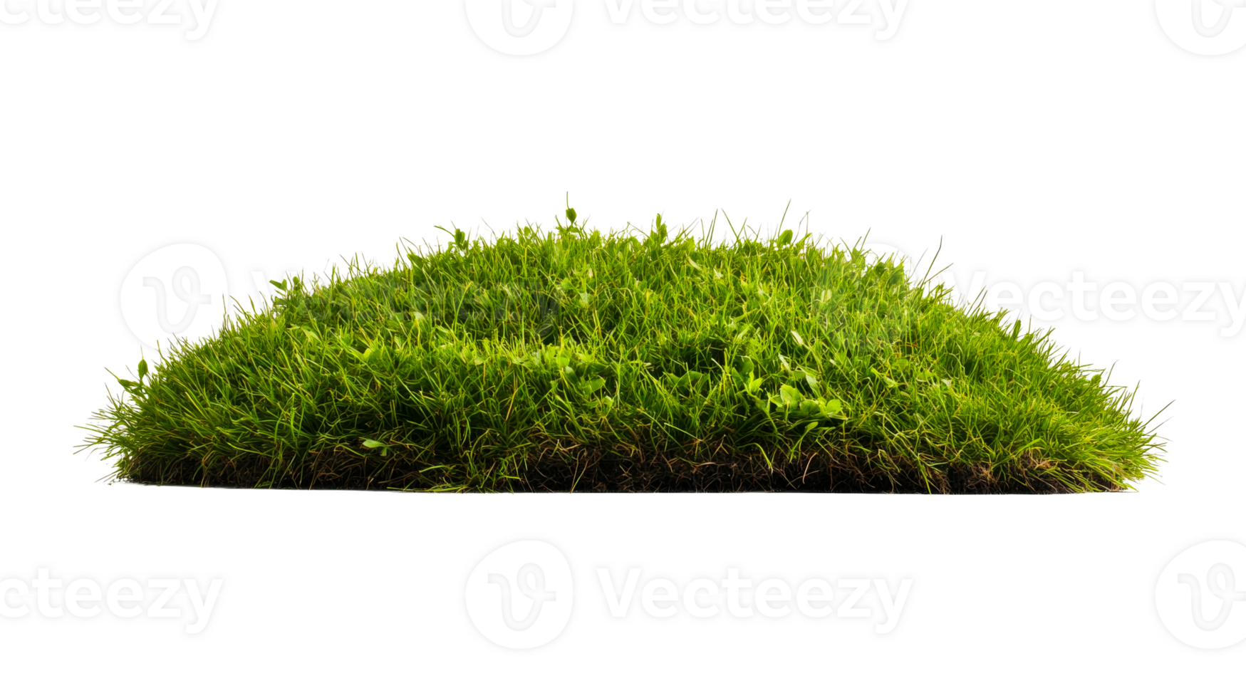 Green lush grass, natural meadow turf, landscaping design element, cut out transparent png