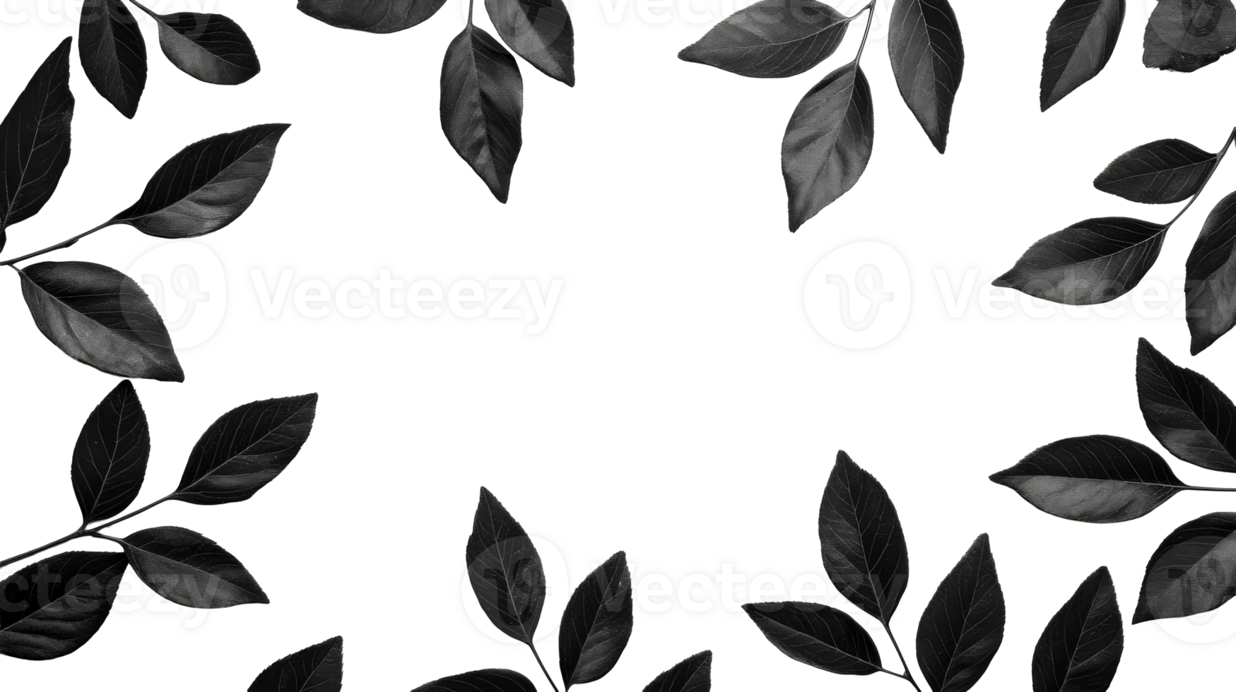 Black leaves with empty frame, graphic resource, design element, cut out transparent png