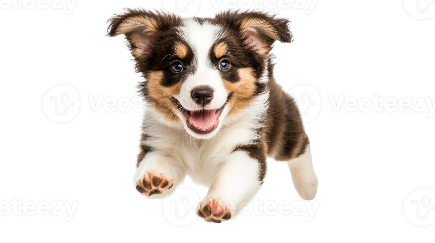 Running puppy with joyful expression, happy cute dog, cut out transparent png