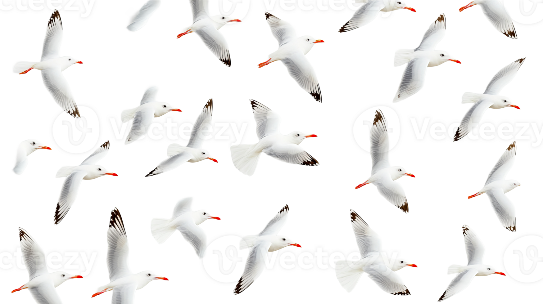White seagull birds fly in the sky, cut out transparent png