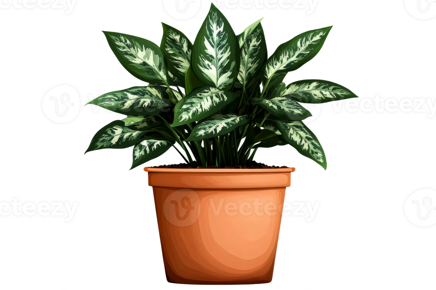 Dieffenbachia in pot with green leaves, cut out transparent png
