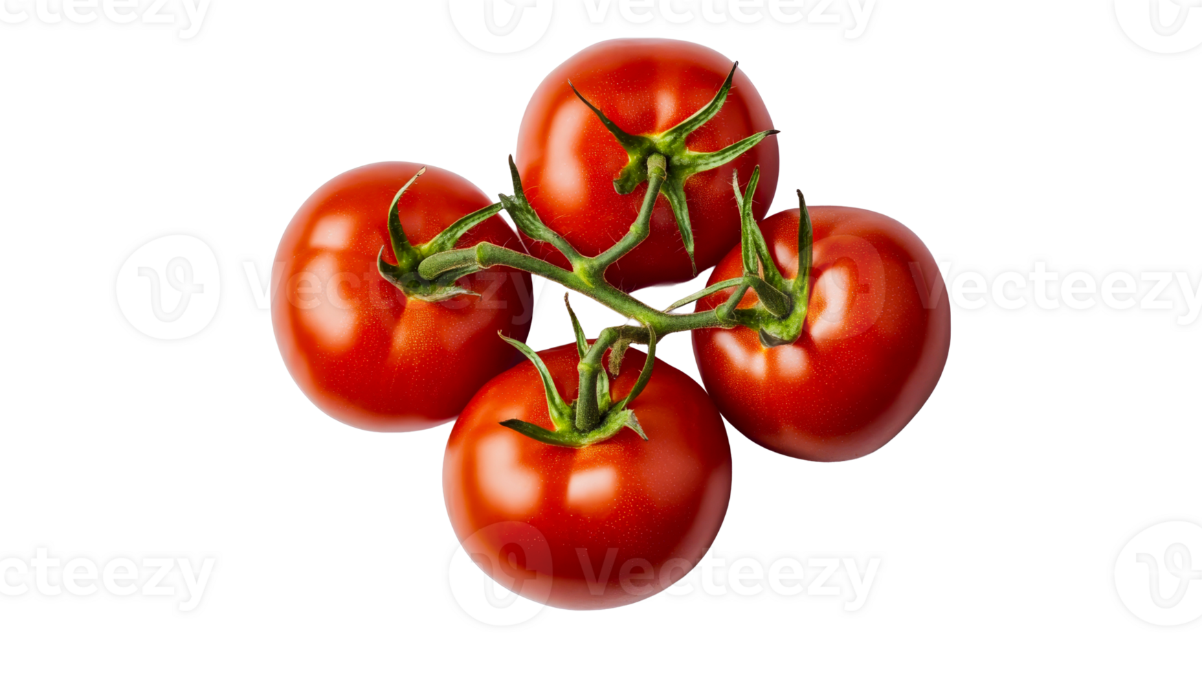 Ripe bunch of tomatoes on branch, isolated food background, cut out transparent png
