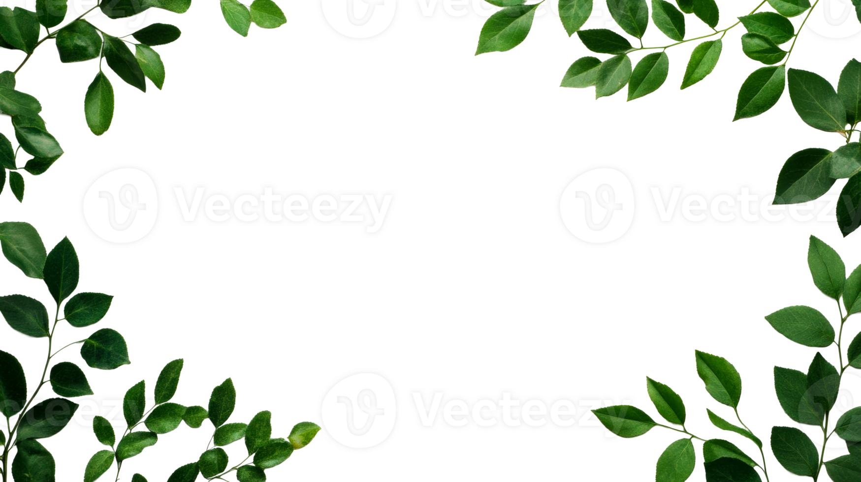 Lush green foliage corner frame on dark background, cut out transparent png