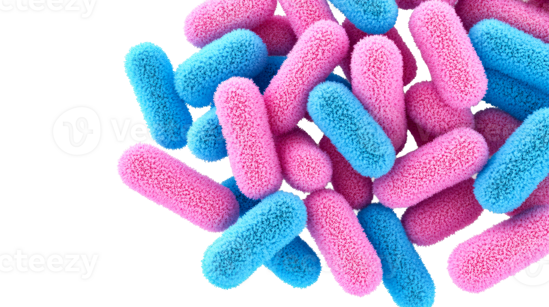 Pink and blue fluffy pills. Fluffy bacteria and black background, cut out transparent png