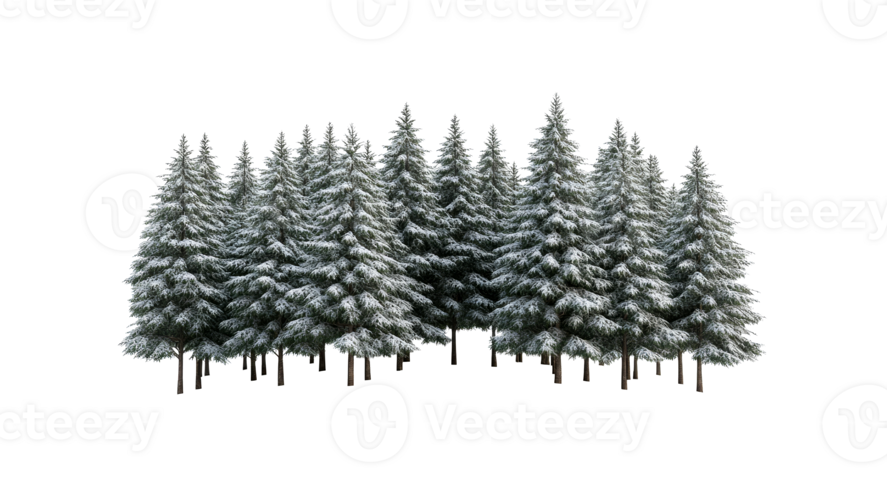 Winter forest with snow covered fir trees, cut out transparent png