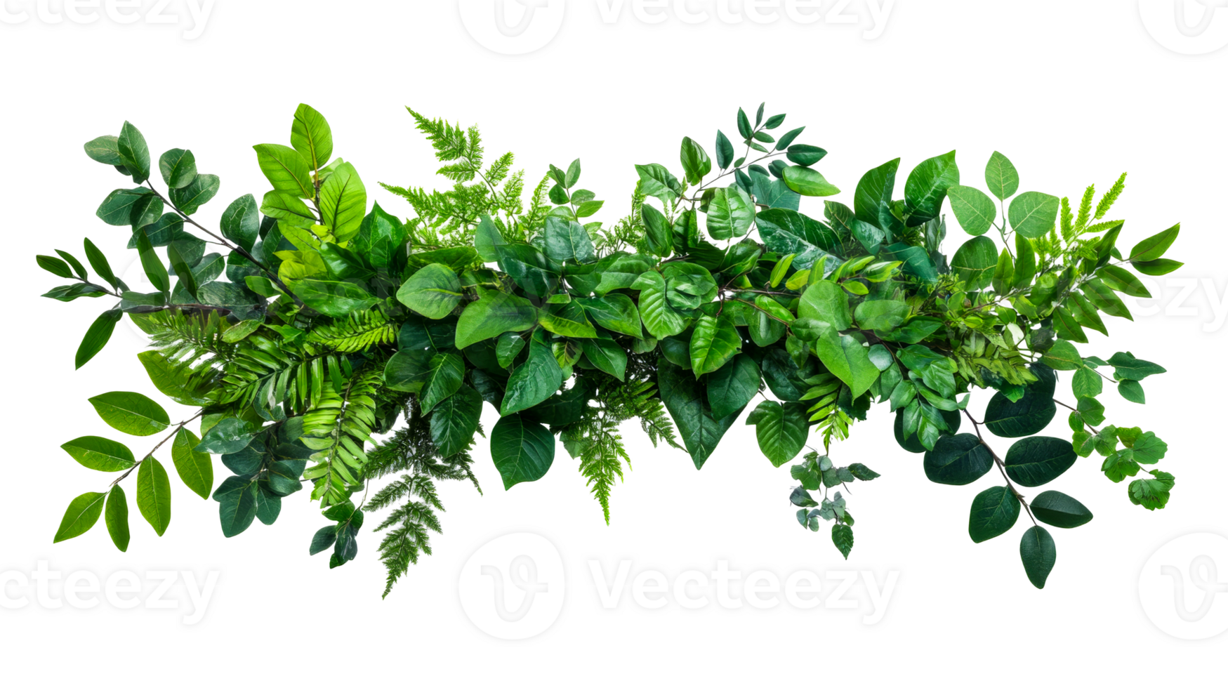 Lush green foliage border element on black, natural, cut out transparent png