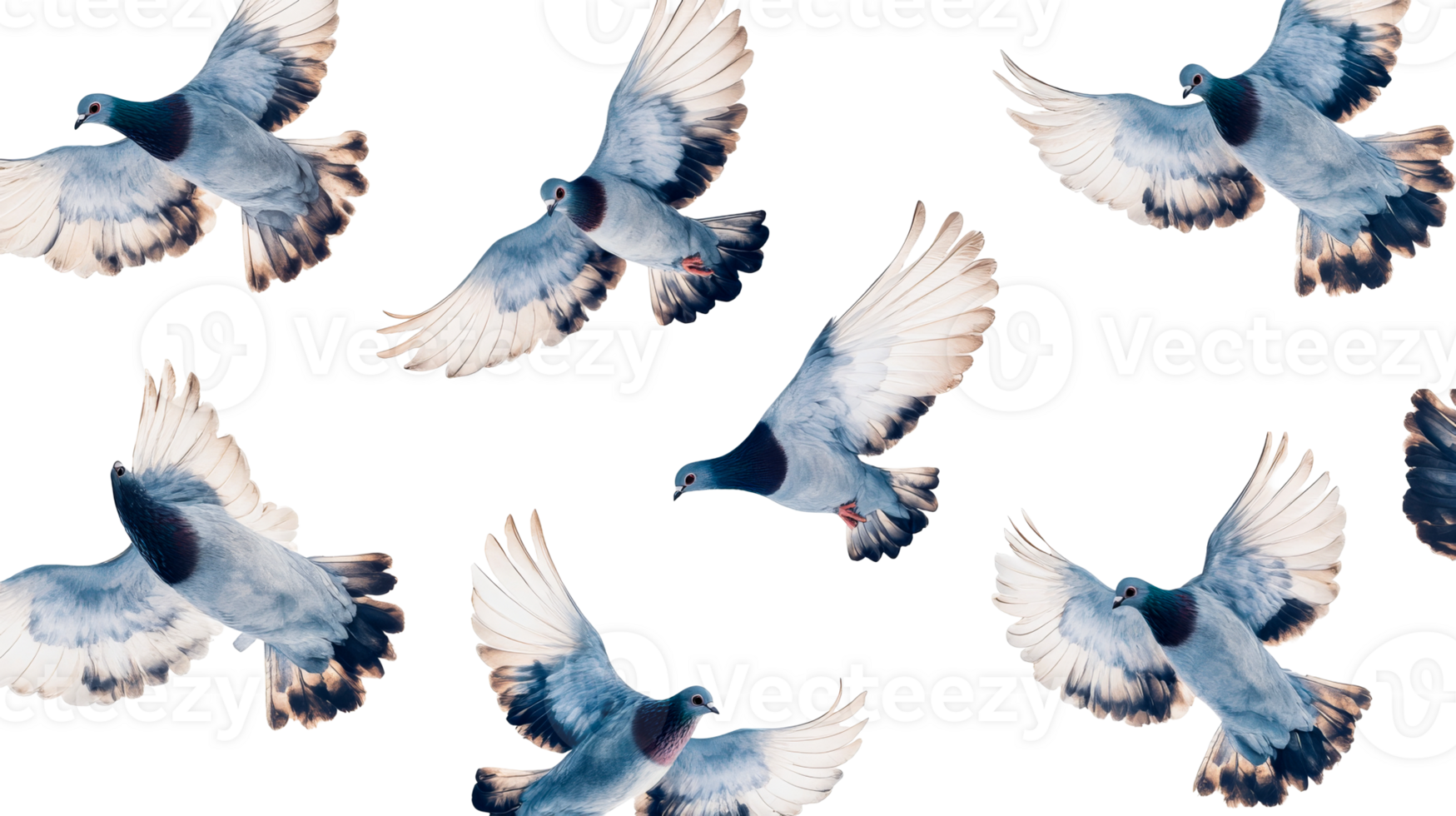 Flock of doves soaring in air, wings spread, freedom, peace, cut out transparent png