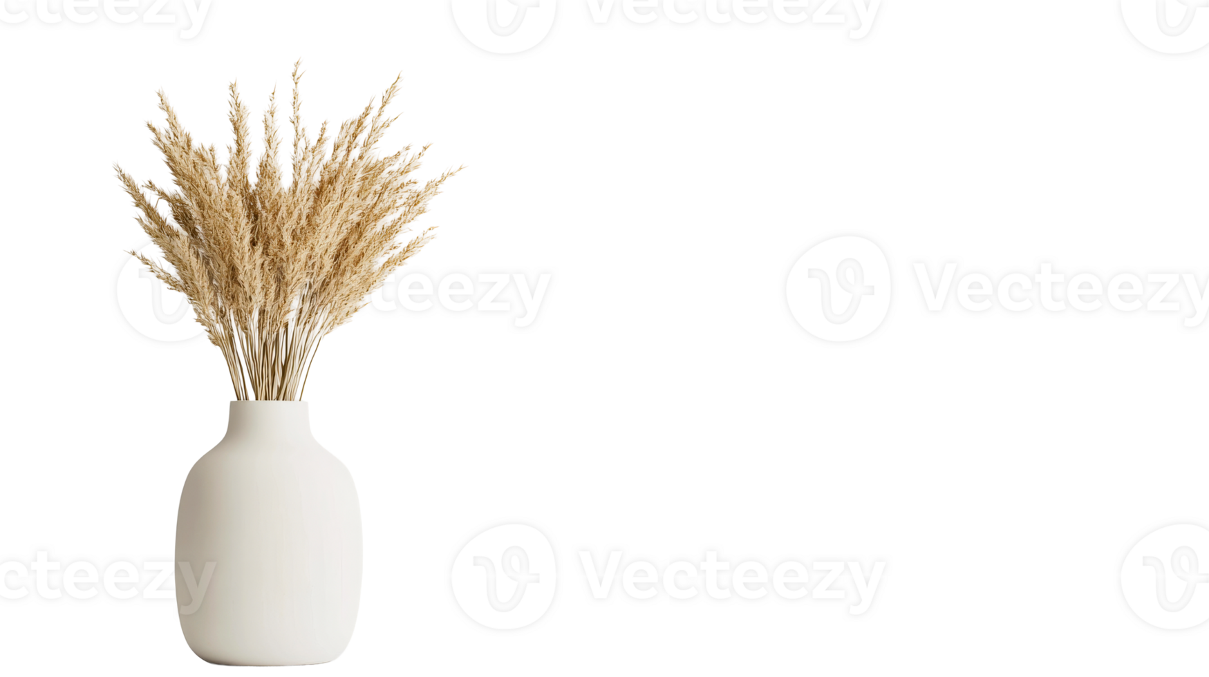 Stylish vase with beige dry flower composition, cut out transparent png