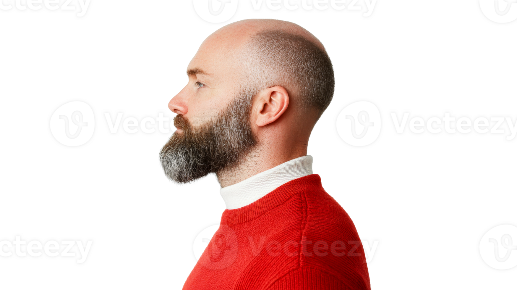 Bald man with beard profile in red sweater on black background, cut out transparent png