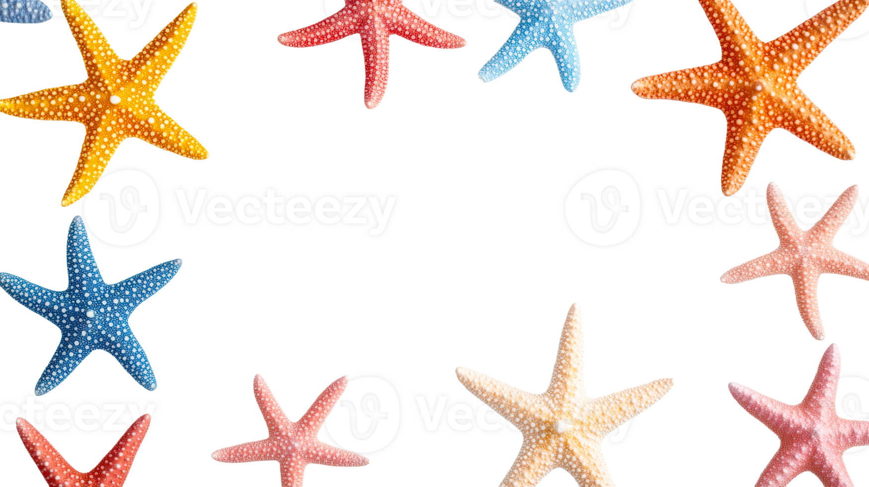 Colorful starfish assortment arranged, creating frame, black background, cut out transparent png