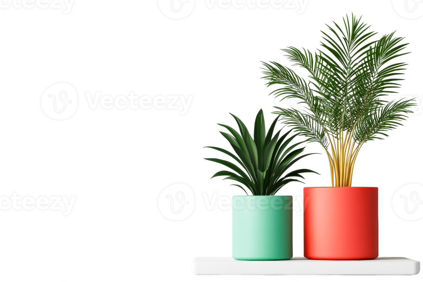 Green plants in pots stand on a shelf, cut out transparent png
