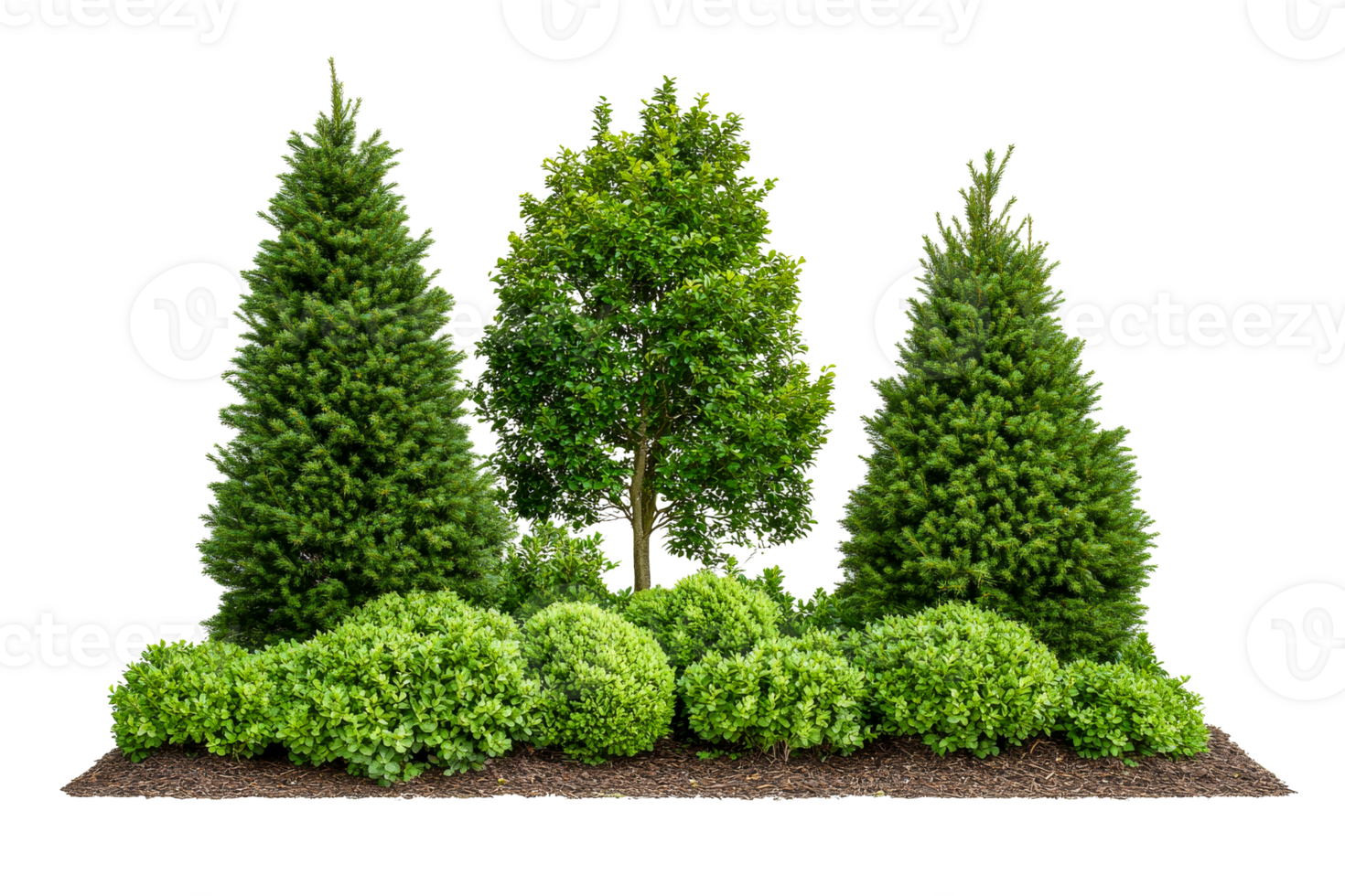 Lush garden design featuring trees and bushes, cut out transparent png