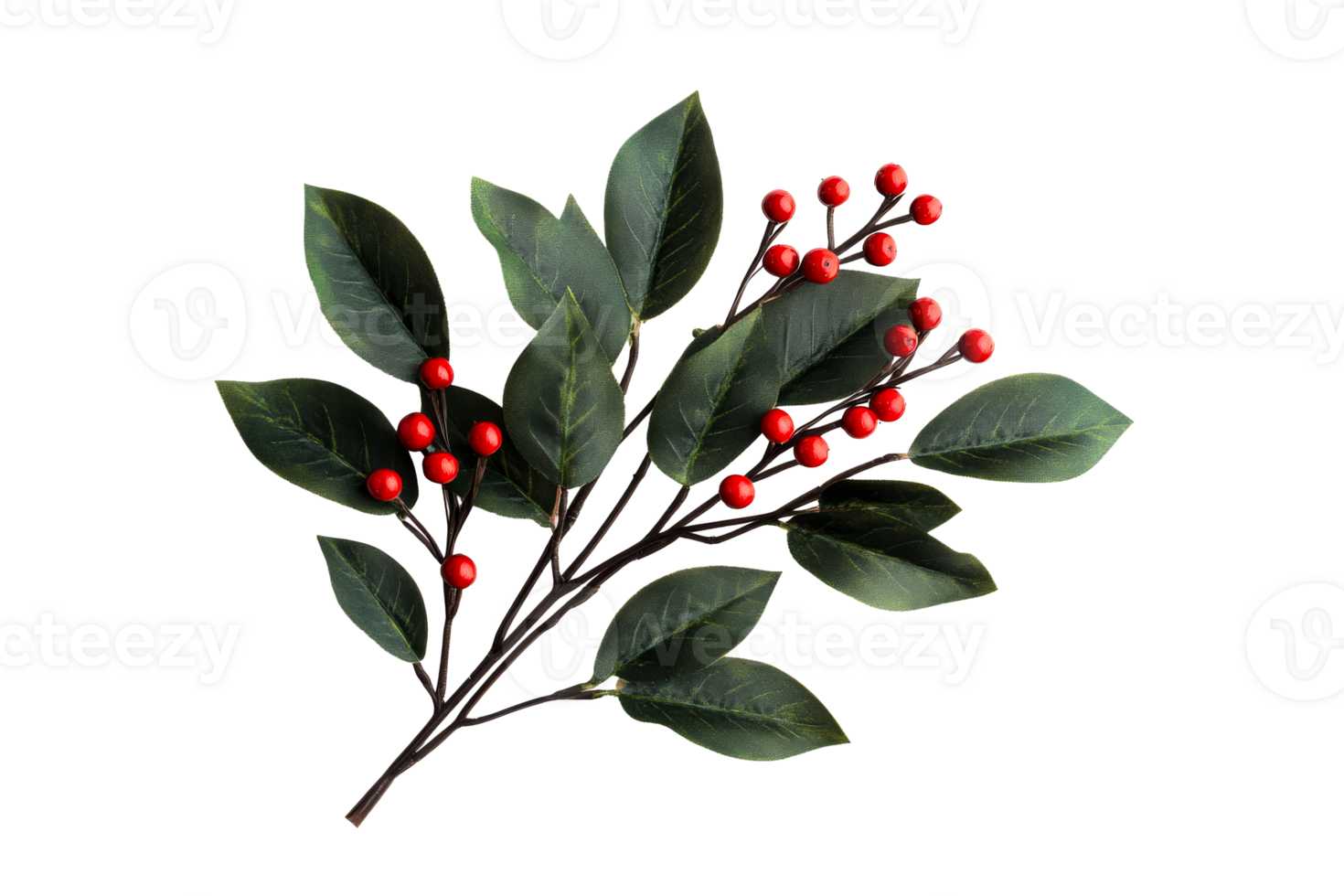 Branch with red berries and green leaves, cut out transparent png