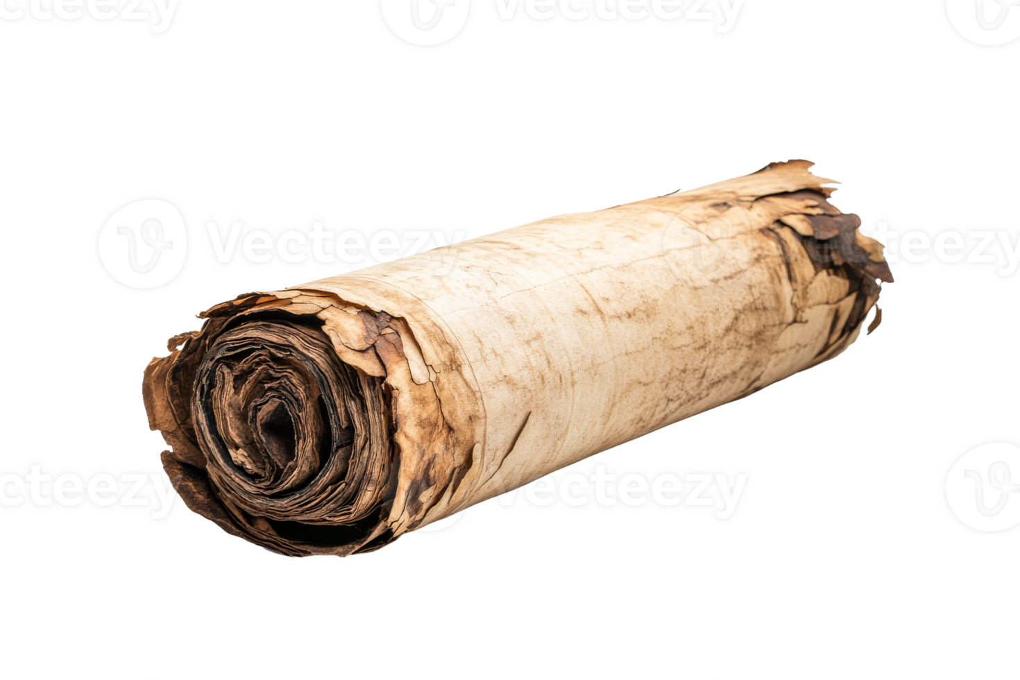 Ancient rolled parchment scroll, paper manuscript, isolated, cut out transparent png